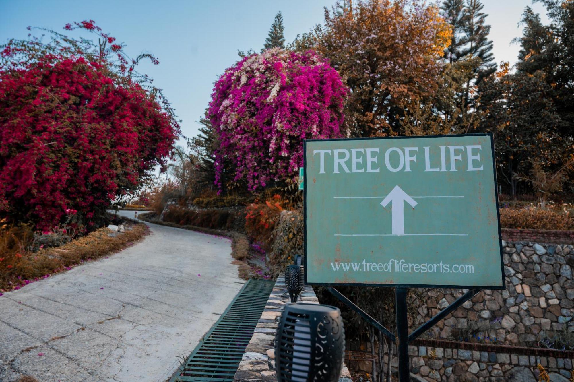 Tree Of Life Resort Dehradun Foothills Exterior foto